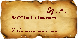 Szélesi Alexandra névjegykártya
